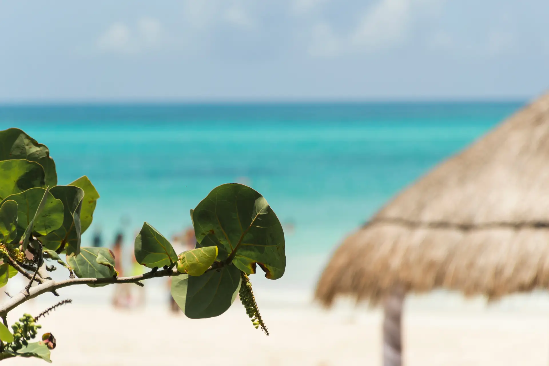 Why June is a dream month to visit Tulum