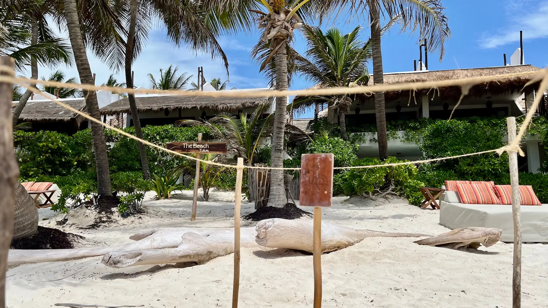 Witnessing magic: sea turtle nesting season in Tulum