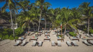 a view of the beach club from the sea, sunbeds and loungers under palm trees